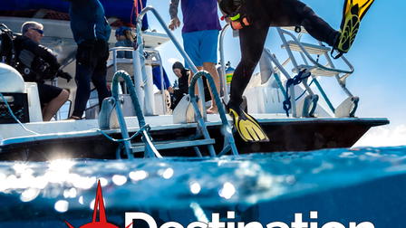Destination Dive