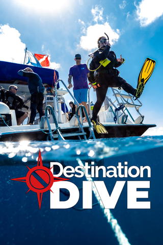 Destination Dive