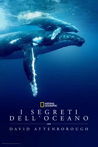I Segreti Dell’oceano con David Attenborough