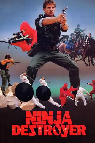 Ninja Destroyer