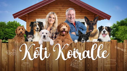Koti koiralle