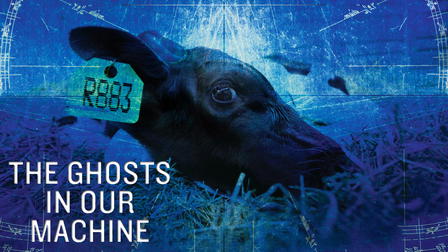 The Ghosts in Our Machine