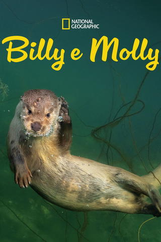 Billy e Molly: Uma História de Amor Diferente