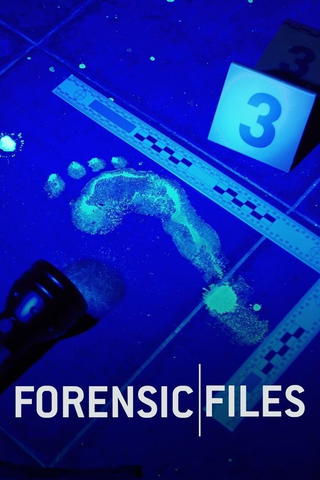 Archivos Forenses