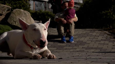 Underdog