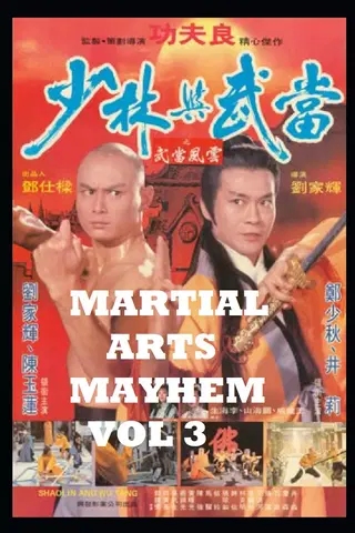 Martial Arts Mayhem Vol 3