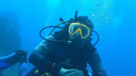 Megalodon!: Great White Godfather