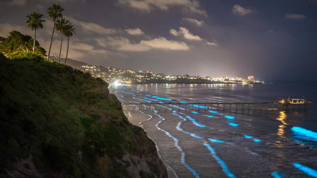 Avara luonto: Villi San Diego