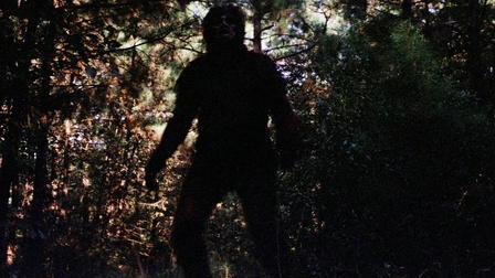 Creature from Black Lake