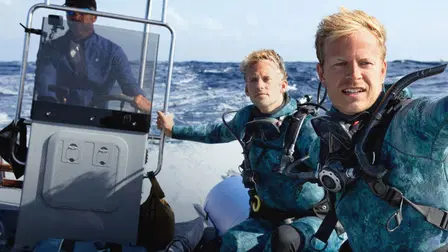 Delfines en primer plano con Bertie Gregory