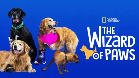 The Wizard of Paws