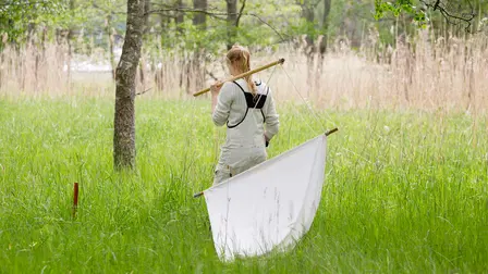 Själö - Island of Souls