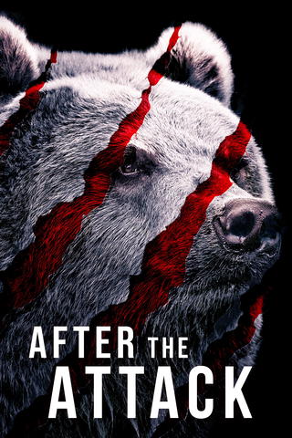 After the Attack