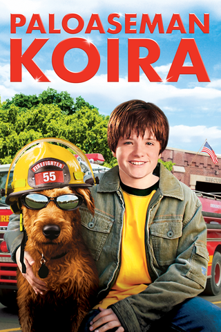 Paloaseman koira