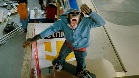 ¡Mola mazo ser mono!