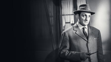 The Strange Mr. Steve