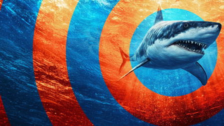 In the Eye of the Storm: Shark Storm
