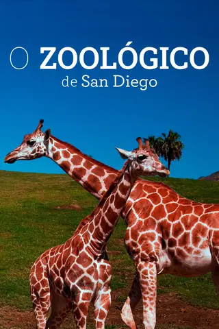 O Zoológico de San Diego