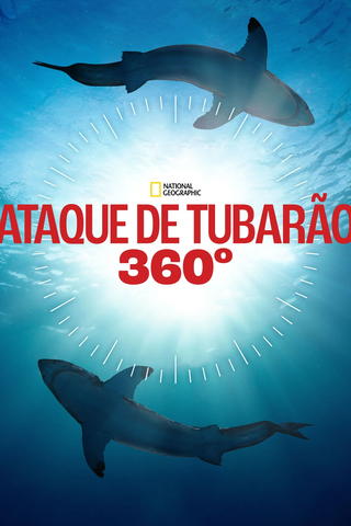 Ataque de Tubarão 360°