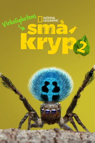 Virkelighetens småkryp
