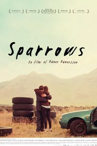 Sparrows