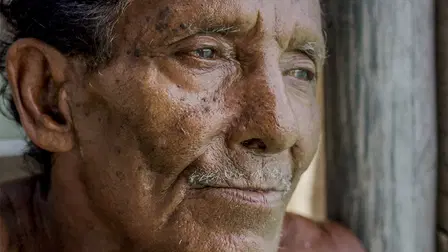 Jago: A Life Underwater