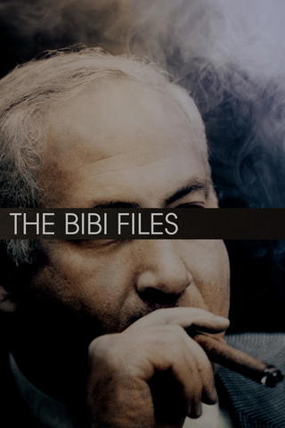 The Bibi Files