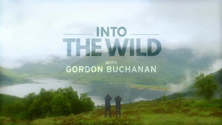Into the Wild with Gordon Buchanan