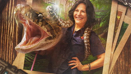 The Snake Catcher