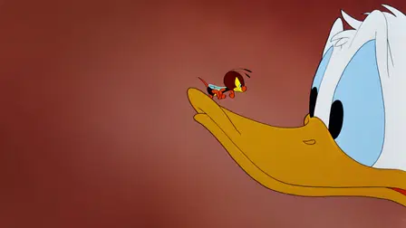 Decorador de inferiores