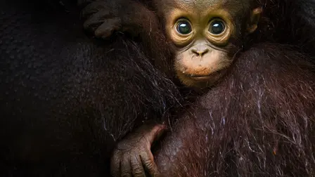 Edén: Paraísos remotos