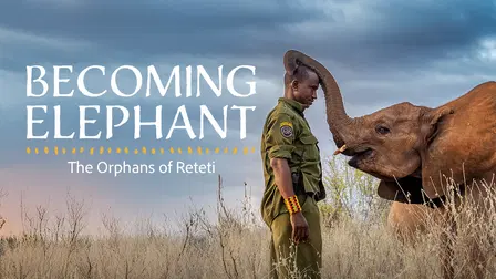 Becoming Elephant: The Orphans of Reteti