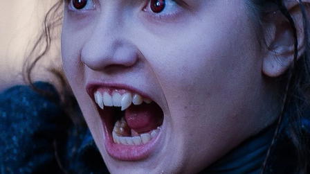 Les Héritiers de la nuit