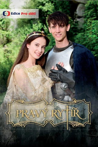 The True Knight