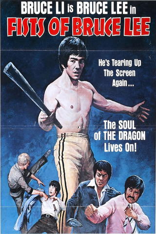 Los Puños De Bruce Lee (Doblado)