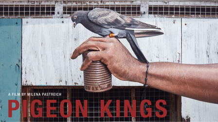 Pigeon Kings