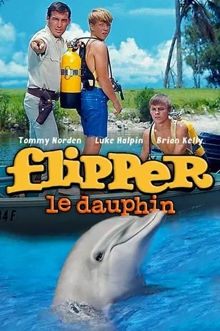 Flipper le dauphin