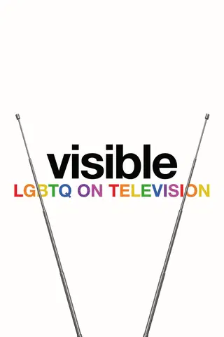 Visible: LGBTQ on Television