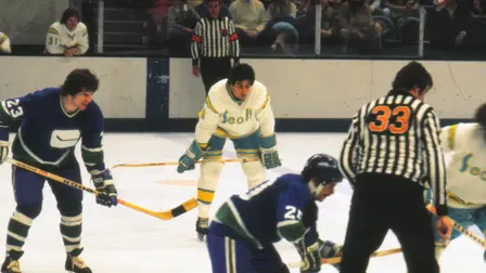 The California Golden Seals Story