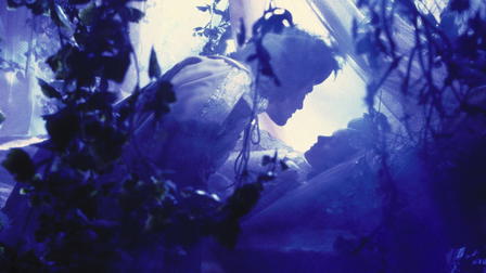 Sleeping Beauty