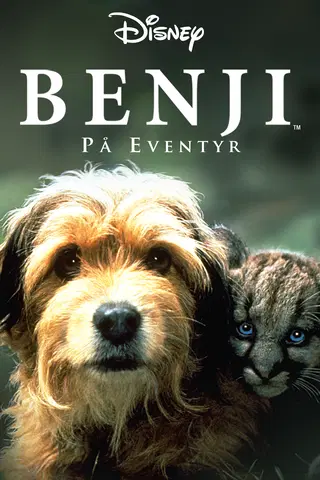 Benji på eventyr