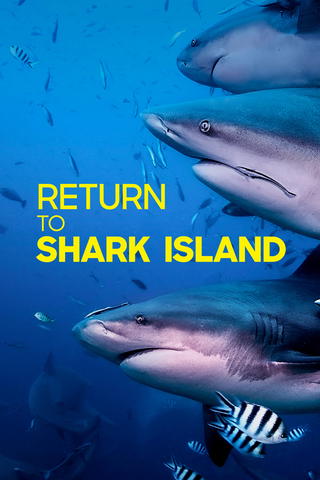Return to Shark Island