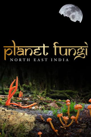 Planet Fungi: North East India