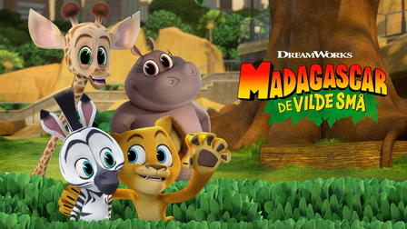 Madagascar: A Little Wild