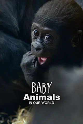 Baby Animals in Our World