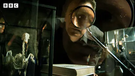 Nature's Weirdest Events