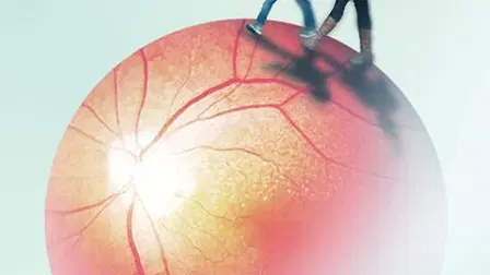 All That Remains to be Seen