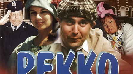Pekko ja unissakävelijä