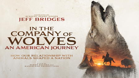 In The Company Of Wolves: An American Journey