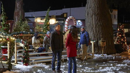 A Christmas Tree Grows in Colorado